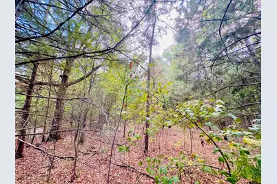 0000 Apple Tree Rd, Gilmer, TX 75644 - Photo 11