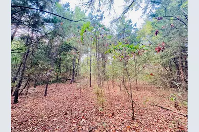 0000 Apple Tree Rd, Gilmer, TX 75644 - Photo 9
