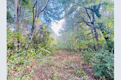 0000 Apple Tree Rd, Gilmer, TX 75644 - Photo 19