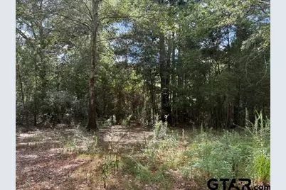 19317 N. State Highway 110, Troup, TX 75789 - Photo 27