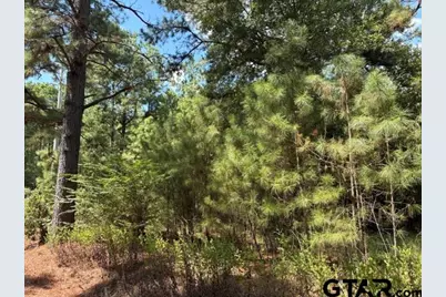 19317 N. State Highway 110, Troup, TX 75789 - Photo 7