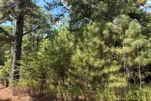19317 N State Hwy 110, Troup, TX 75789 - Photo 7