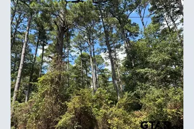 19317 N. State Highway 110, Troup, TX 75789 - Photo 1