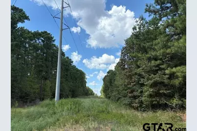 19317 N. State Highway 110, Troup, TX 75789 - Photo 9