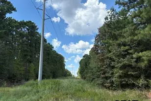 19317 N State Hwy 110, Troup, TX 75789 - Photo 9