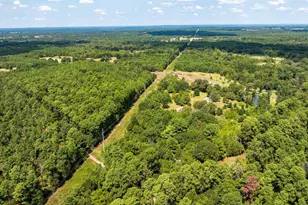 19317 N State Hwy 110, Troup, TX 75789 - Photo 35