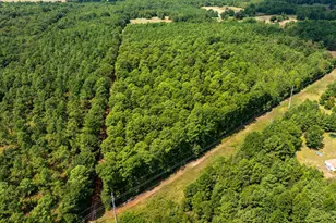 19317 N State Hwy 110, Troup, TX 75789 - Photo 47