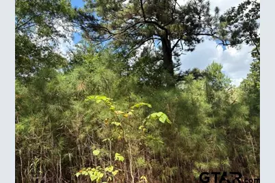 19317 N. State Highway 110, Troup, TX 75789 - Photo 23