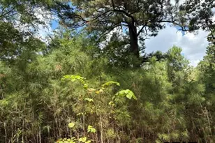 19317 N State Hwy 110, Troup, TX 75789 - Photo 23