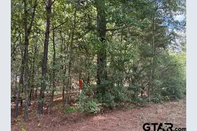 19317 N. State Highway 110, Troup, TX 75789 - Photo 25