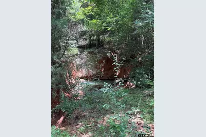 1841 County Road 3402, Bullard, TX 75757 - Photo 47