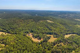 1841 Co Rd 3402, Bullard, TX 75757 - Photo 33