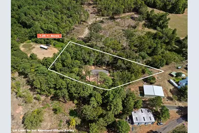 7044 Wild Daisy Rd, Ore City, TX 75683 - Photo 3