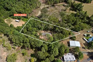 7044 Wild Daisy Rd, Ore City, TX 75683 - Photo 3