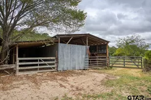 4233 An County Rd 163, Palestine, TX 75801 - Photo 9