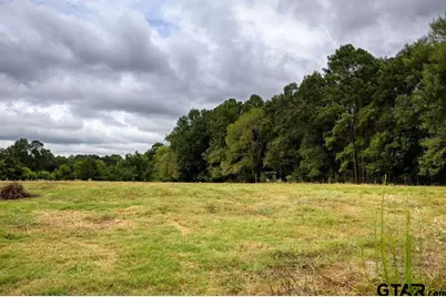 4233 An County Road 163, Palestine, TX 75801 - Photo 15