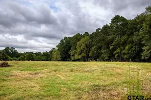 4233 An County Rd 163, Palestine, TX 75801 - Photo 15