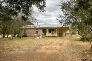 4233 An County Rd 163, Palestine, TX 75801 - Photo 1