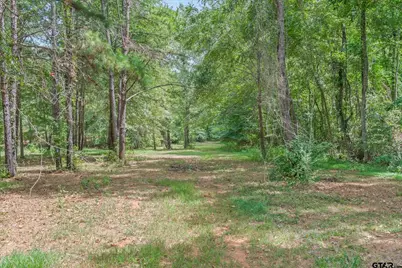 Tbd Willingham Rd, Whitehouse, TX 75791 - Photo 5