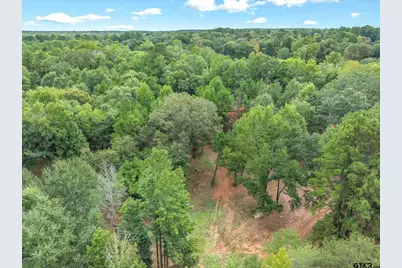 Tbd Willingham Rd, Whitehouse, TX 75791 - Photo 7