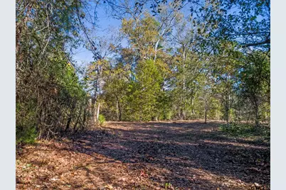 Tbd Cr 396, Tyler, TX 75708 - Photo 9