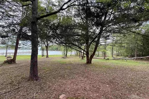 6435 Fm 17 Lots 70-77, Yantis, TX 75497 - Photo 33