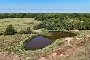 14203 Co Rd 2900, Eustace, TX 75124 - Photo 35