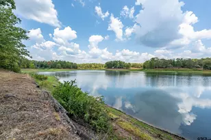 121 Pr 6671, Hawkins, TX 75765 - Photo 3