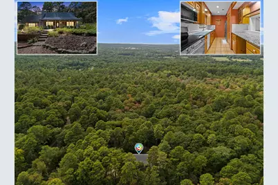 141 Whiporwill, Holly Lake Ranch, TX 75765 - Photo 3
