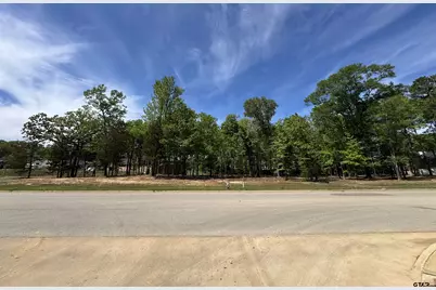 8205 Hollytree Dr, Tyler, TX 75703 - Photo 3