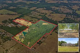 579 Fm 1522, Pittsburg, TX 75686 - Photo 1
