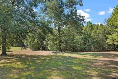 7174 Beavers Bend, Gilmer, TX 75645 - Photo 7