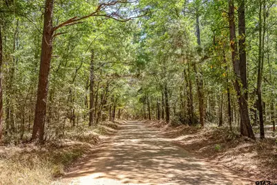4661 Cr 335, Palestine, TX 75803 - Photo 29
