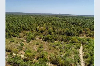 4661 Cr 335, Palestine, TX 75803 - Photo 5