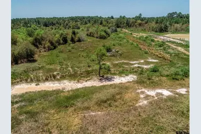 4661 Cr 335, Palestine, TX 75803 - Photo 1