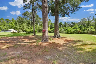 495 Wilcox Dr, Rusk, TX 75785 - Photo 33