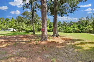 495 Wilcox Dr, Rusk, TX 75785 - Photo 33