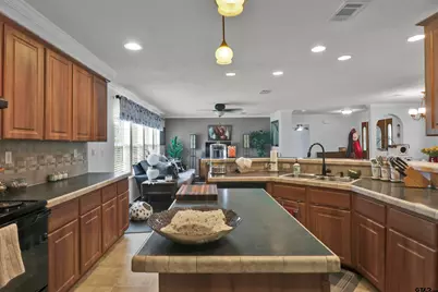 495 Wilcox Dr, Rusk, TX 75785 - Photo 21