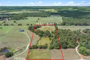 24619 Private Rd 8102, Frankston, TX 75763 - Photo 1