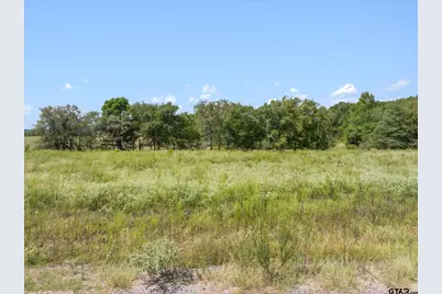 24619 Private Road 8102, Frankston, TX 75763 - Photo 5