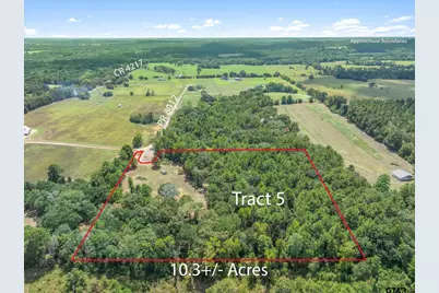 24670 Private Road 8102, Frankston, TX 75763 - Photo 15