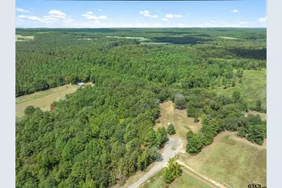 24670 Private Road 8102, Frankston, TX 75763 - Photo 3