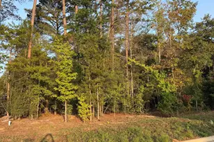 7933 Maple Ln, Tyler, TX 75703 - Photo 1