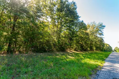 Tbd Fm 2064 N, Troup, TX 75789 - Photo 5