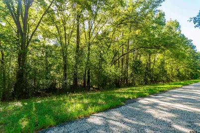 Tbd Fm 2064 N, Troup, TX 75789 - Photo 3