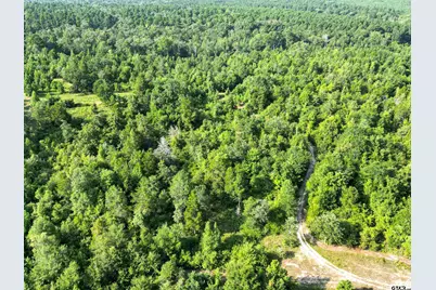102 Pr 3174, Gilmer, TX 75644 - Photo 29