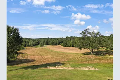 102 Pr 3174, Gilmer, TX 75644 - Photo 3
