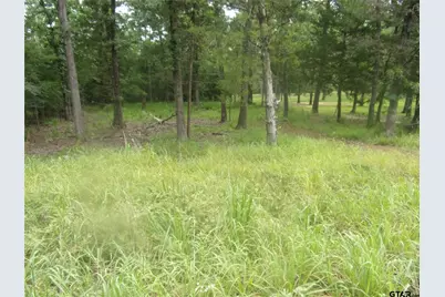 944 Whipporwill, Murchison, TX 75778 - Photo 1