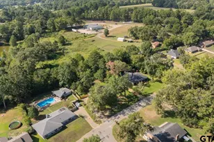 114 Forest S Dr, Whitehouse, TX 75791 - Photo 43