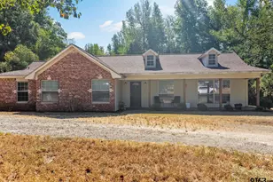 111 Co Rd 4134, Pittsburg, TX 75686 - Photo 3